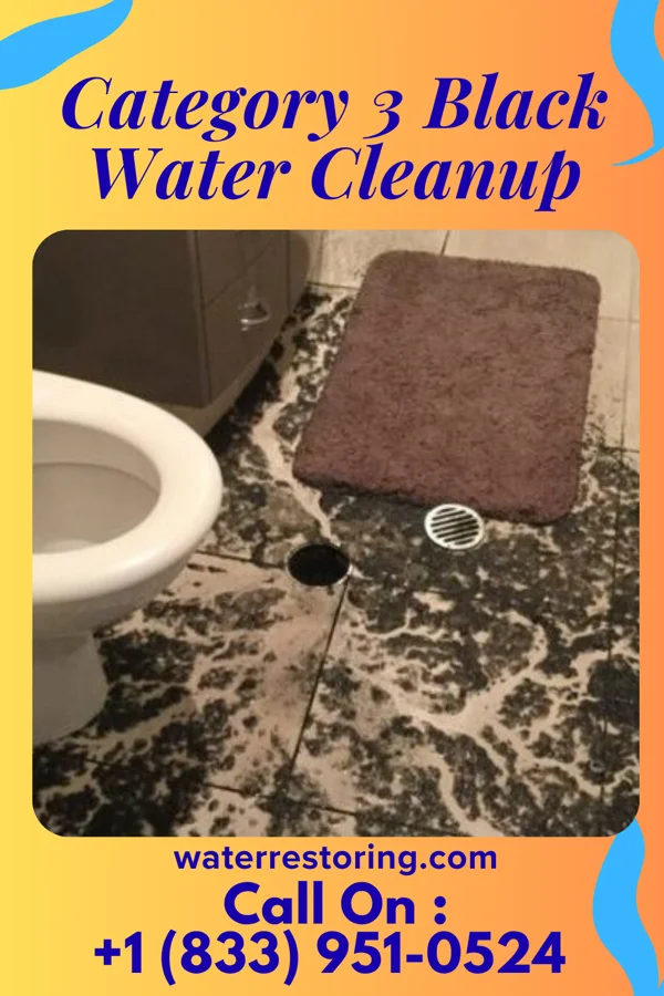 Category 3 Black Water Cleanup in Carrolltown, PA