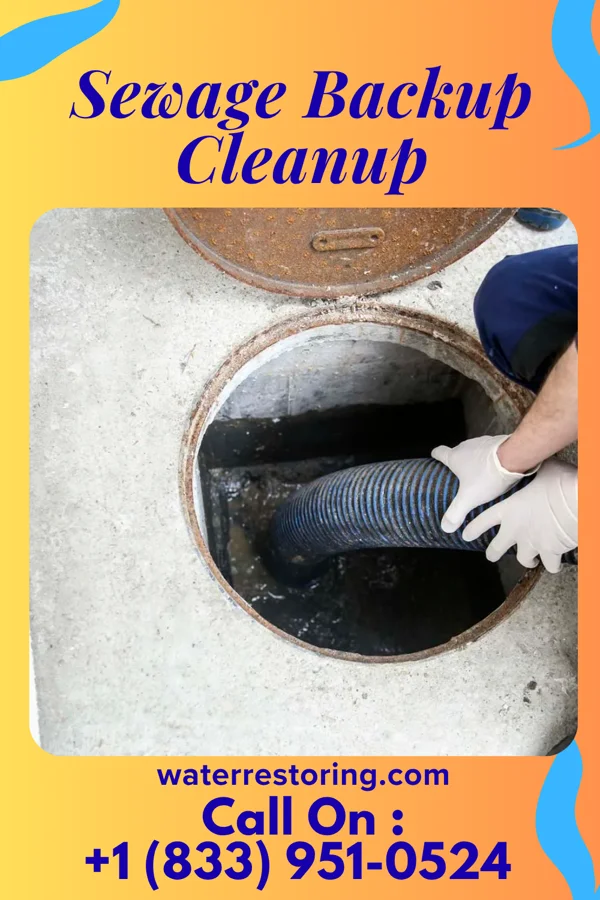 Sewage Backup Cleanup in Carrolltown, PA