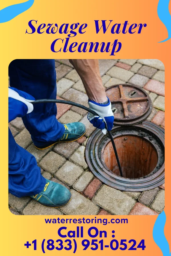 Sewage Water Cleanup in Carrolltown, PA