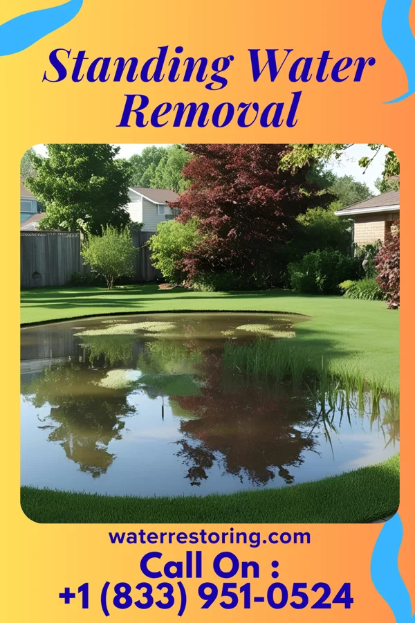 Standing Water Removal in Carrolltown, PA